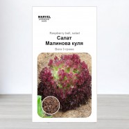 Насіння салату Малинова куля (Україна), 5 г